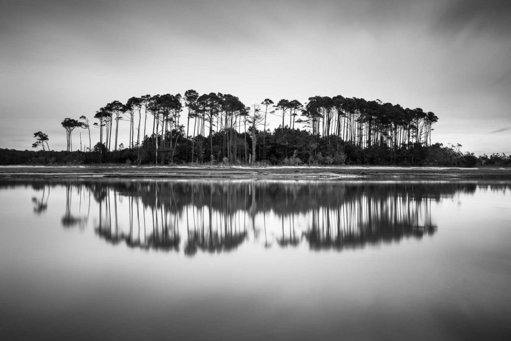 Myrtle Beach, North, trees, inlet, long exposure, Black White, BW, Ivo Kerssemakers