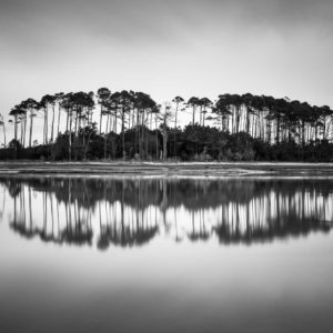 Myrtle Beach, North, trees, inlet, long exposure, Black White, BW, Ivo Kerssemakers