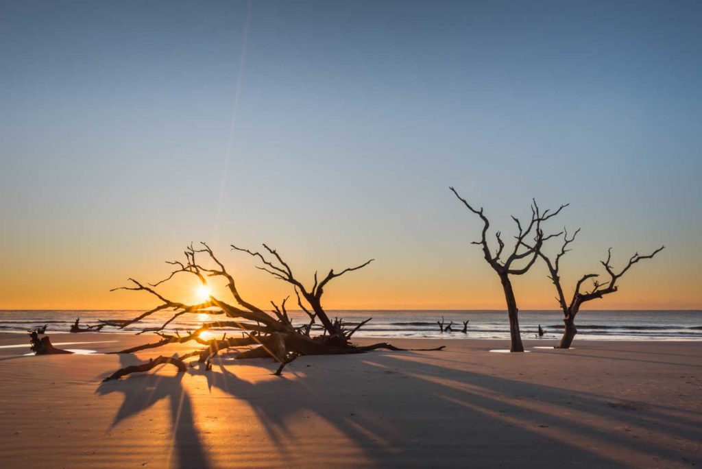 Boneyard, Beach, Bull Island, Sunrise, Tree, Ocean, South Carolina, Fine art, Ivo Kerssemakers