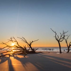 Boneyard, Beach, Bull Island, Sunrise, Tree, Ocean, South Carolina, Fine art, Ivo Kerssemakers