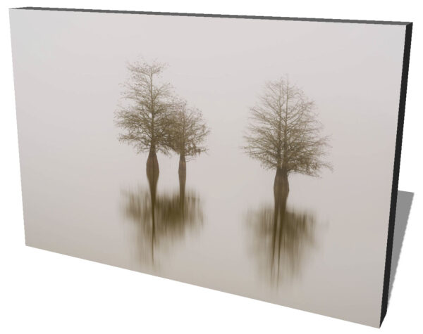 canvas print of three cypress trees on lake Marion, South Carolina, isolated in the fog, by Ivo Kerssemakers