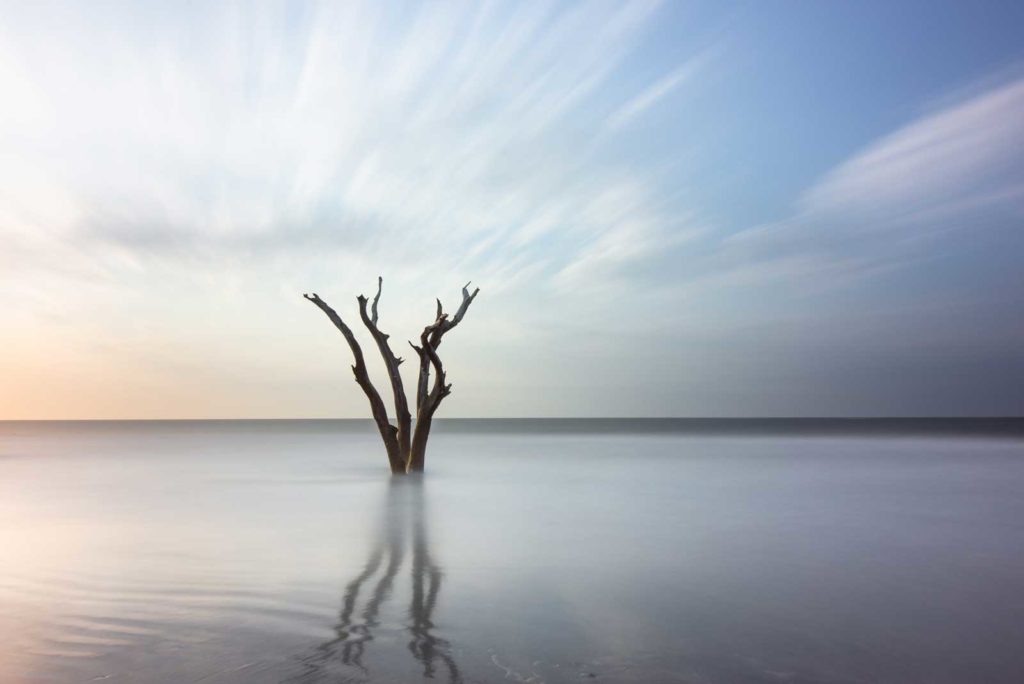 Lone tree in the ocean on Bull Island, South Carolina, with smooth water and streaky clouds created by a long exposure technique
