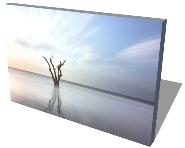 Canvas print of a lone tree in the ocean on Bulls Island, South Carolina, with smooth water created by long exposure photography