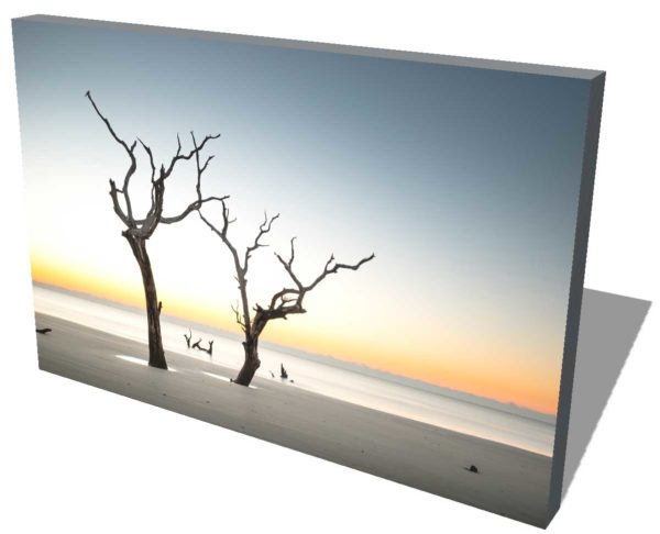 canvas print of two trees on the beach of Bull Island, South Carolina, with the orange glow of the sunrise in the background