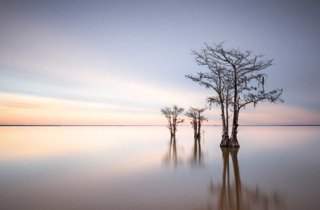 art print of cypress trees on Lake Moultrie, South Carolina, with sunrise colors in the background, by Ivo Kerssemakers