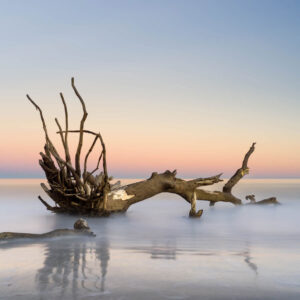 Long exposure of fallen tree in the ocean on Hunting Island, South Carolina by Ivo Kerssemakers