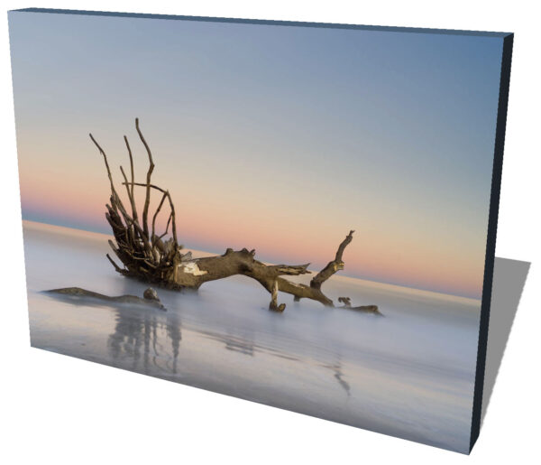 Canvas print of fallen tree in the ocean on Hunting Island, South Carolina by Ivo Kerssemakers